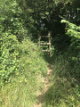 L'échelle en bois