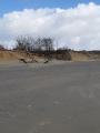 L'effet de l'érosion au Pertuis de Maumusson