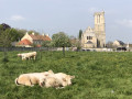L'église d'Hermanville-sur-Mer depuis la rue du Tour de Ville