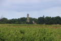 The church of Saint Seurin as seen from the meadows near Arcins