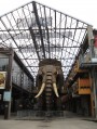 L'Eléphant