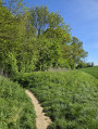 Rock n' walk - d'Auvers-sur-Oise à Hérouville
