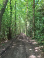 Le Bois de Pîtres à La Neuville-Chant-d'Oisel Le Bois de Pîtres à La Neuville-Chant-d'Oisel