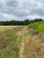 Boucle champêtre et forestière à Nalinnes