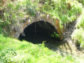 Autour du Canal de Bernistap