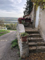 Les falaises du Bois des Roches depuis Chavigny