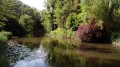 De Maisse à La Ferté-Alais par l'Ile Ambart