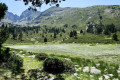 L'Estanyol