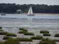 Entre campagne et mer à Billiers (version longue)
