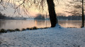 L'étang Nieder Weiher à Obermorschwiller