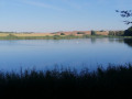 L'étang d'Albestroff