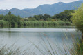 Balade bucolique à l'Étang de Bachous