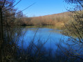 L'étang de Blanche Fontaine