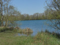 L'étang de Bois de Clos à Fontenay-sur-Eure