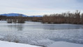 L'étang de l'ancienne gravière