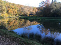 L'étang de la Bretonnière