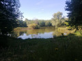 L'étang de la Claire Forêt