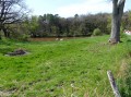 L'étang de la ferme "Les Bouriettes"
