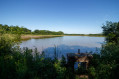 L'étang de la grande Bozonnière
