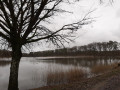 l'étang de la vallée l'étang de la vallée