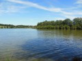 L'étang de Néravaud à Saint-Priest-la-Feuille