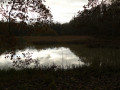 l'étang de Paucourt