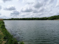 L'étang de Réchicourt