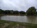 L’étang de Saint-Epain