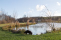 The Villette-de-Vienne pond and the Combe des Brigands starting from Luzinay L'étang de Villette-de-Vienne et la Combe des Brigands au départ de Luzinay