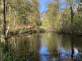 L'étang de Vuylbeek