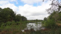 L'étang des Hodeaux