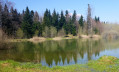L'Etang des Perchettes L'Etang des Perchettes