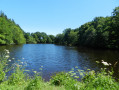 L'Étang du Moulin Neuf