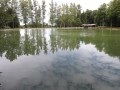 L'étang du Neuweiher