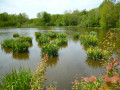 Sources du Lac du Der, la rivière et l'ancien canal