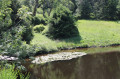 L'etang en été. L'etang en été.
