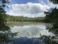 L'Etang Neuf L'Etang Neuf