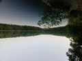 The New Pond