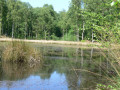 L'Etang près des 6 Chemins