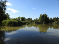 L'étang