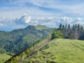 L&rsquo;Hergues