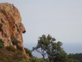 L'homme qui crie sur l'arbre, au pic de l'Ours