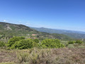 The view towards Montpellier