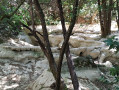 L'Huveaune à sec L'Huveaune à sec