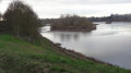 L'Île de Mareau sur la Loire (08/01/2019)