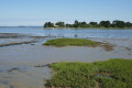 Bye bye, l'île de Tascon !