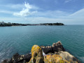 L'ile Tristan