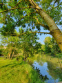 La Fayette in the Indre valley towards Reignac-sur-Indre La Fayette dans la vallée de l’Indre vers Reignac-sur-Indre