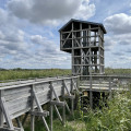 L’observatoire