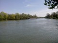 Le long de l'Oise entre Jouy-le-Moutier et Vauréal